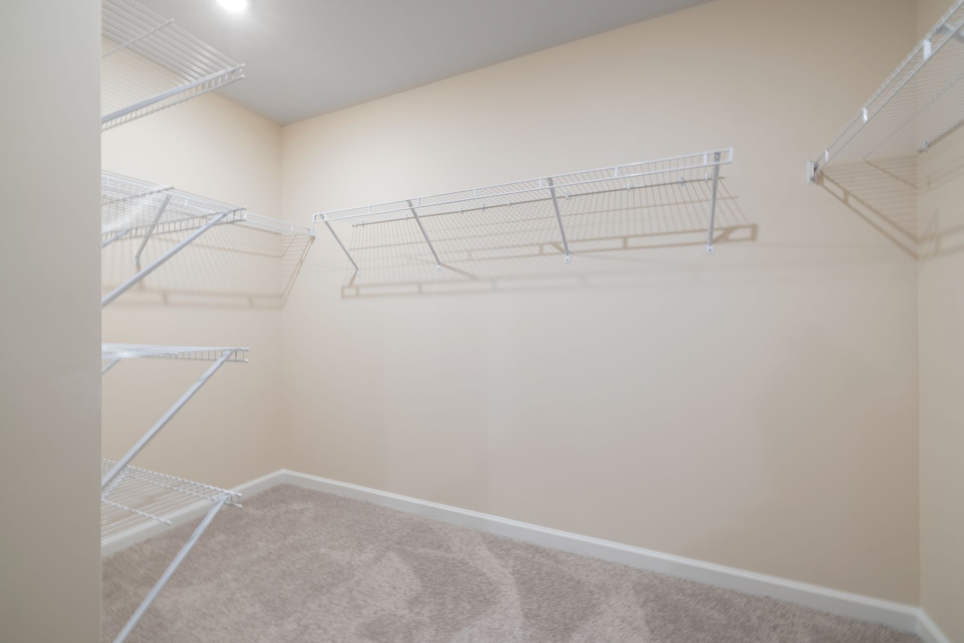 Empty walk in closet featuring wall mounted wire shelving, perfect for organization, illustrating Feng Shui and Books: What Open Shelving Really Means