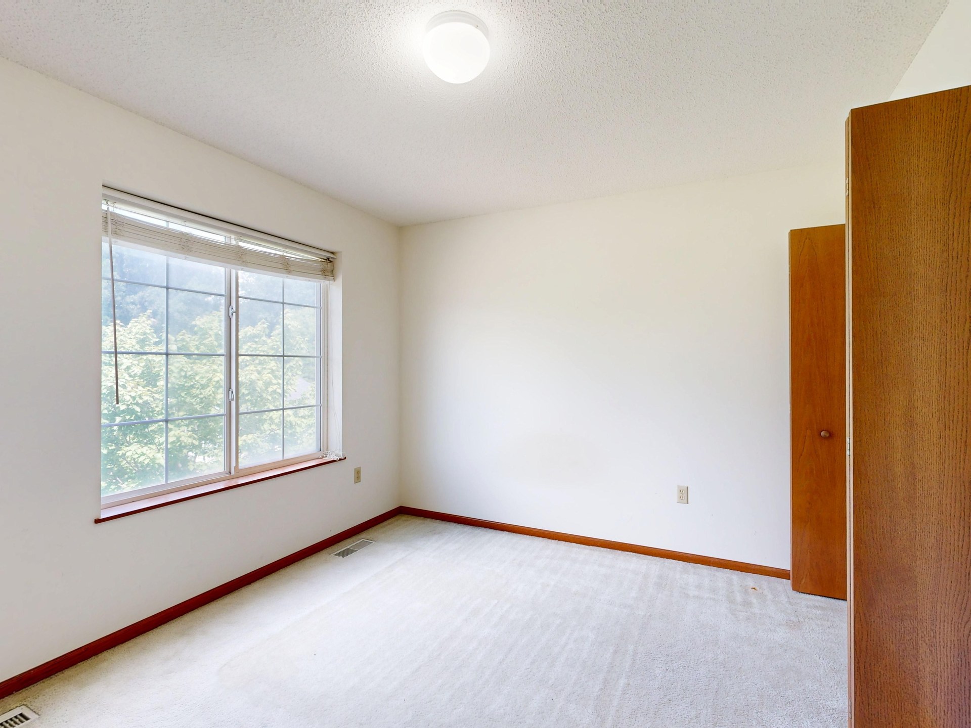 Sunny empty room with carpet, closet, and large window offering a view