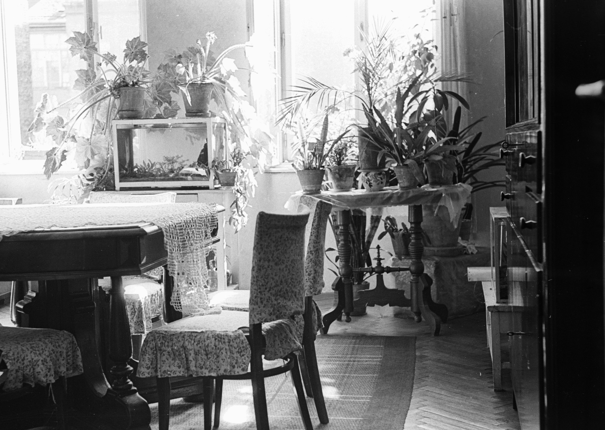 File:Aquarium, indoor plants, interior, lace Fortepan, illustrating Furniture Against Walls: What Feng Shui Actually Says