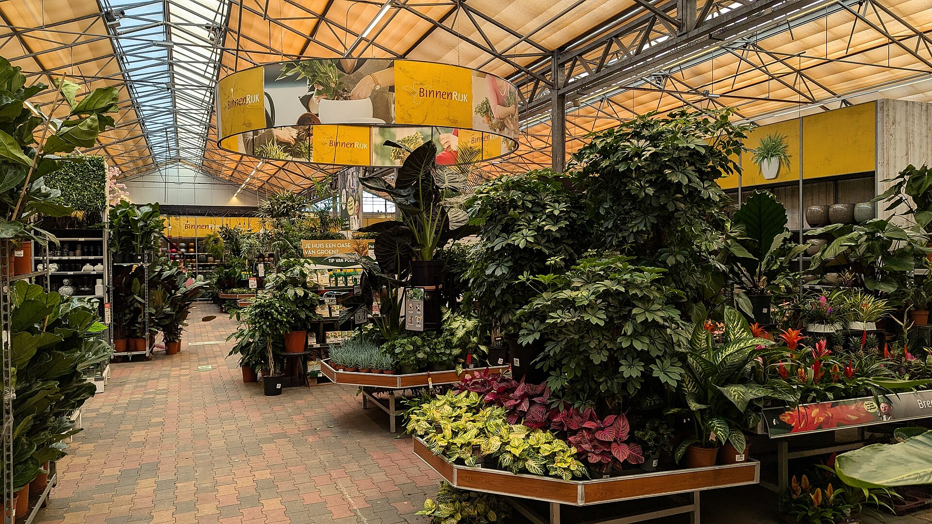 Garden centre interior with indoor plants, GroenRijk, illustrating How Much Empty Floor Should a Room Have? Feng Shui Guide