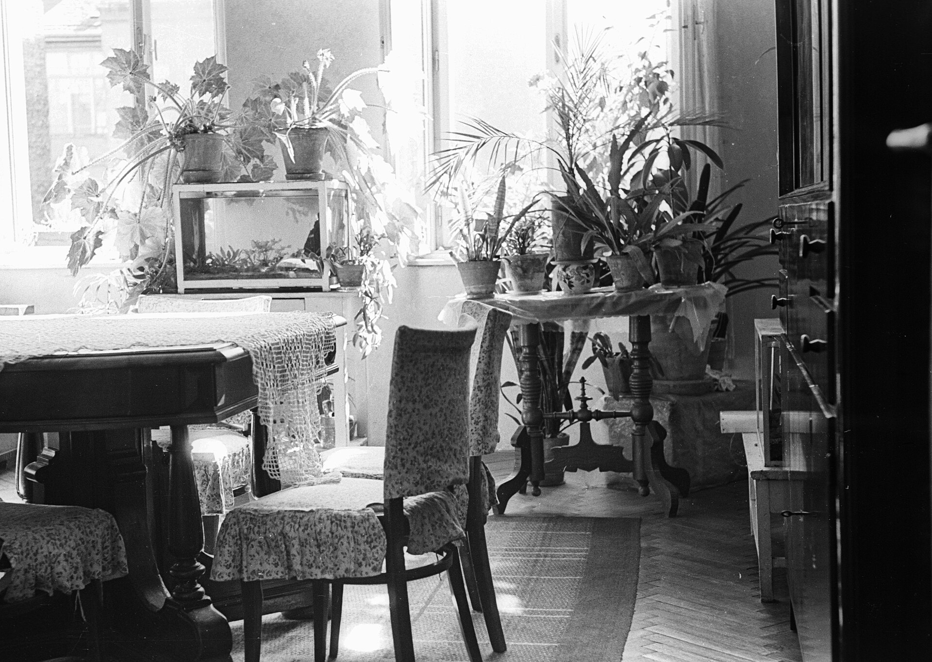 Aquarium, indoor plants, interior, lace Fortepan, illustrating How Much Empty Floor Should a Room Have? Feng Shui Guide