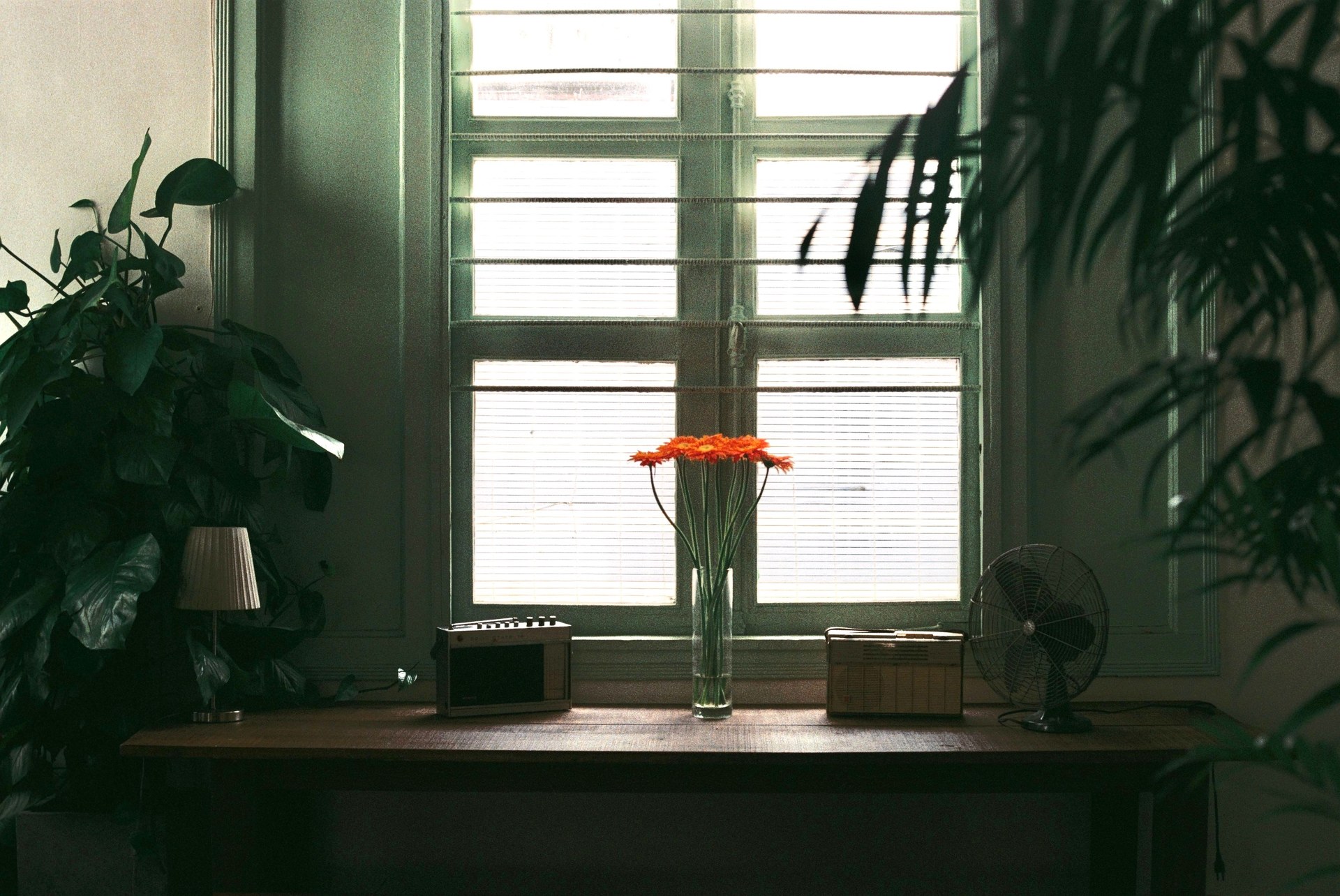 Indoor setting featuring a table with orange flowers, plants, and a window view