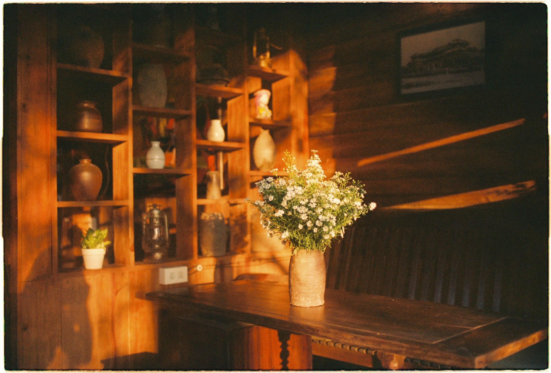 Warm sunlight filters through a rustic interior with vintage wooden shelves and a floral arrangement