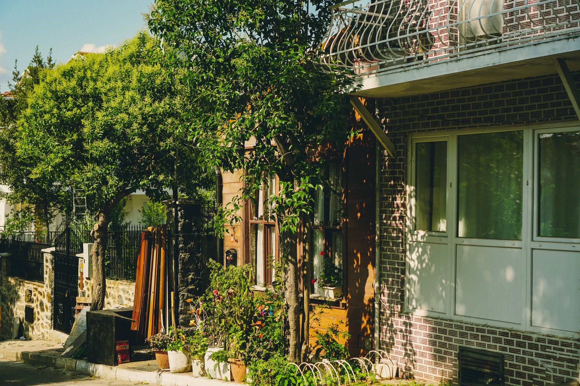 A quaint residential street with lush greenery and sunlight on houses