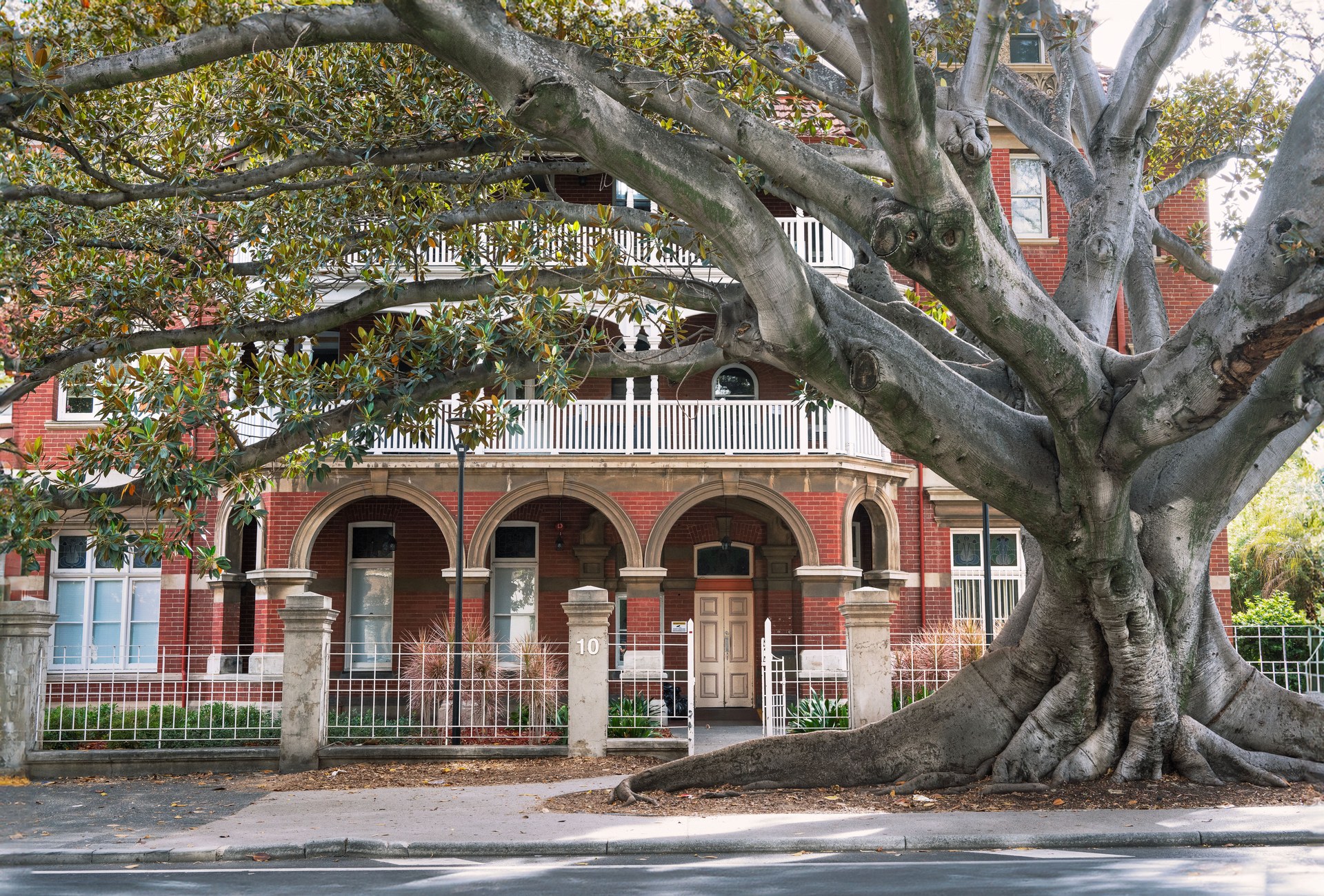 View of Kirkman House in Perth with a grand Moreton Bay fig tree, blending nature with architecture